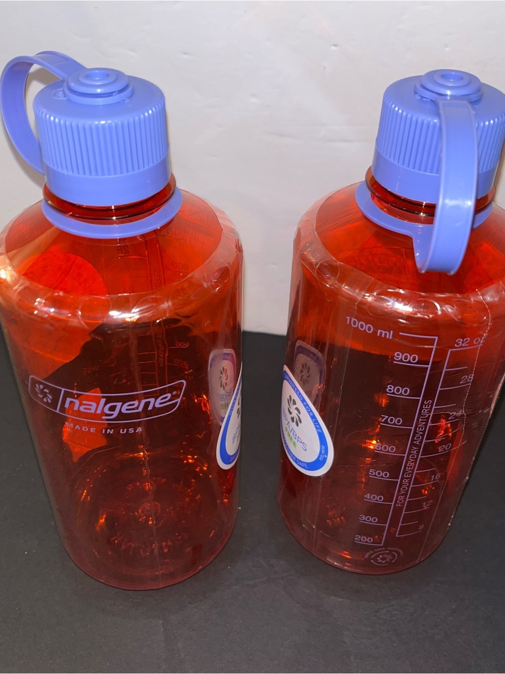 NWT Set of 2 Nalgene Bottle - Translucent Red with Lavender Cap